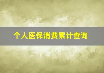 个人医保消费累计查询