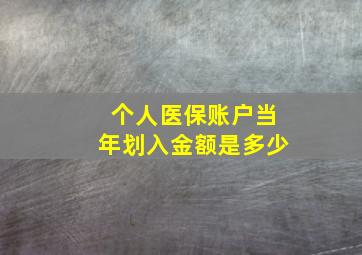 个人医保账户当年划入金额是多少