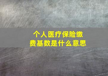 个人医疗保险缴费基数是什么意思