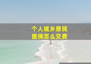 个人城乡居民医保怎么交费