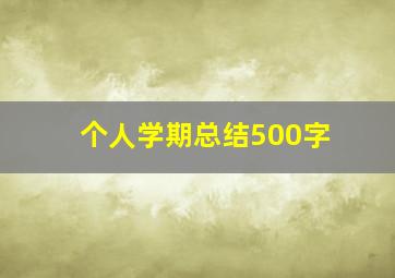 个人学期总结500字