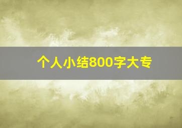 个人小结800字大专