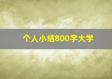 个人小结800字大学