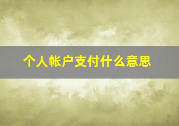 个人帐户支付什么意思