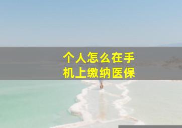 个人怎么在手机上缴纳医保