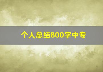 个人总结800字中专