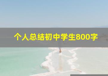 个人总结初中学生800字