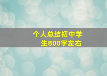 个人总结初中学生800字左右