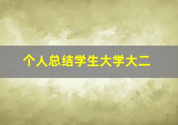 个人总结学生大学大二