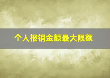 个人报销金额最大限额