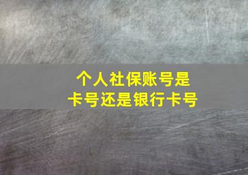 个人社保账号是卡号还是银行卡号