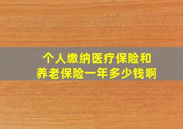 个人缴纳医疗保险和养老保险一年多少钱啊