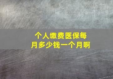 个人缴费医保每月多少钱一个月啊