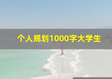 个人规划1000字大学生