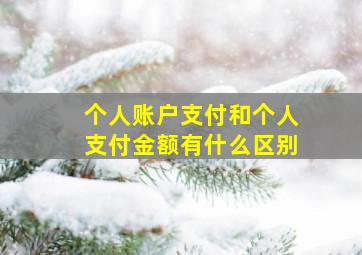 个人账户支付和个人支付金额有什么区别