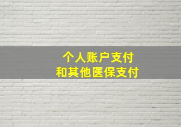 个人账户支付和其他医保支付