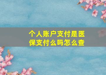 个人账户支付是医保支付么吗怎么查