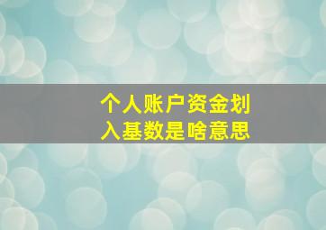 个人账户资金划入基数是啥意思