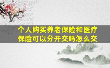 个人购买养老保险和医疗保险可以分开交吗怎么交