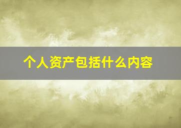 个人资产包括什么内容