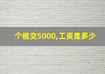 个税交5000,工资是多少