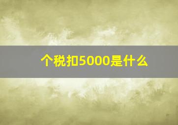 个税扣5000是什么