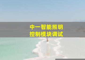 中一智能照明控制模块调试