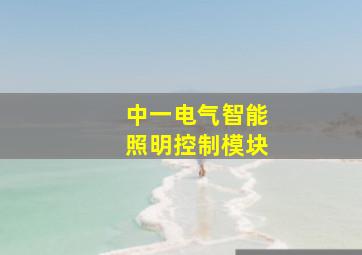 中一电气智能照明控制模块