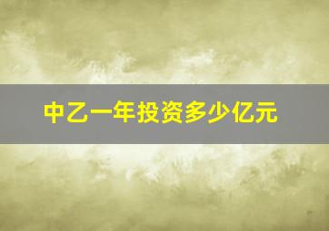 中乙一年投资多少亿元