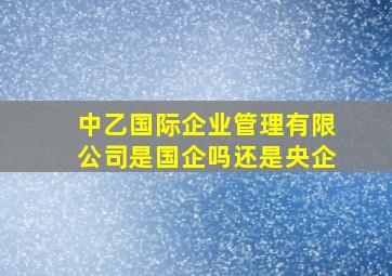 中乙国际企业管理有限公司是国企吗还是央企