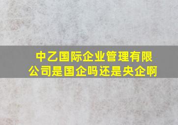 中乙国际企业管理有限公司是国企吗还是央企啊