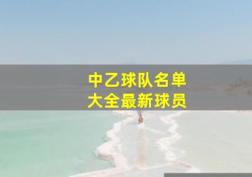 中乙球队名单大全最新球员