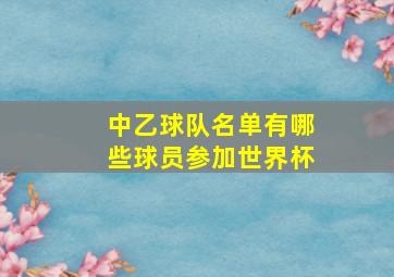 中乙球队名单有哪些球员参加世界杯