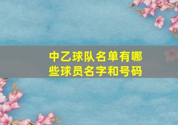 中乙球队名单有哪些球员名字和号码