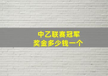 中乙联赛冠军奖金多少钱一个