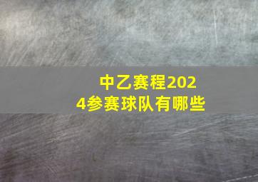 中乙赛程2024参赛球队有哪些