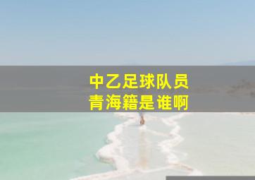 中乙足球队员青海籍是谁啊