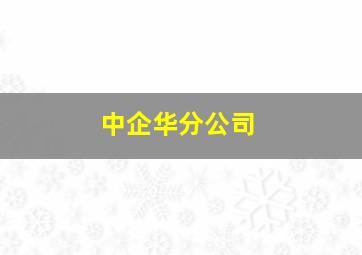 中企华分公司