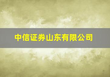 中信证券山东有限公司