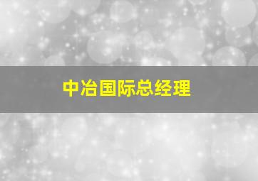 中冶国际总经理