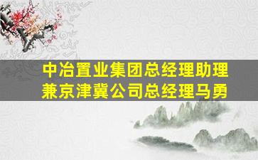 中冶置业集团总经理助理兼京津冀公司总经理马勇