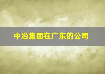 中冶集团在广东的公司