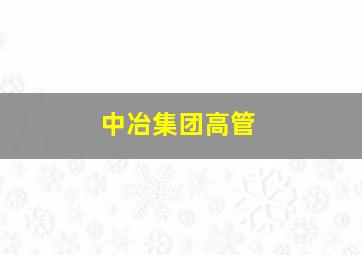 中冶集团高管