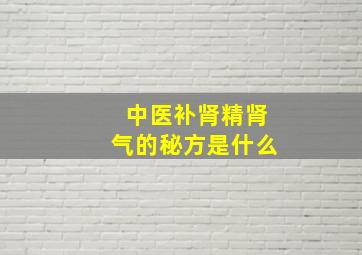 中医补肾精肾气的秘方是什么