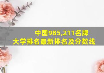 中国985,211名牌大学排名最新排名及分数线