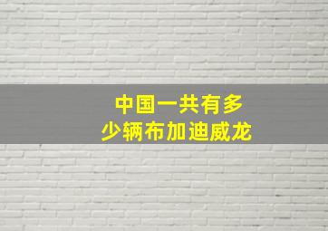 中国一共有多少辆布加迪威龙