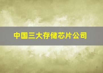 中国三大存储芯片公司