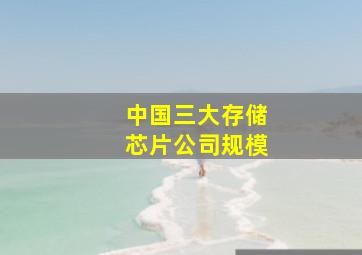 中国三大存储芯片公司规模