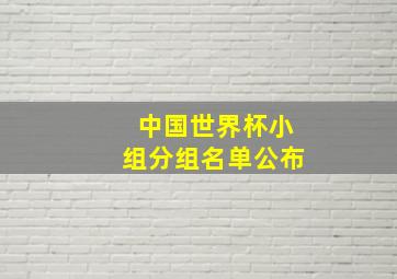 中国世界杯小组分组名单公布