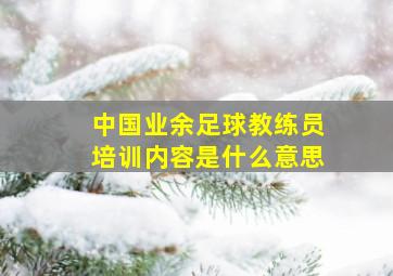 中国业余足球教练员培训内容是什么意思